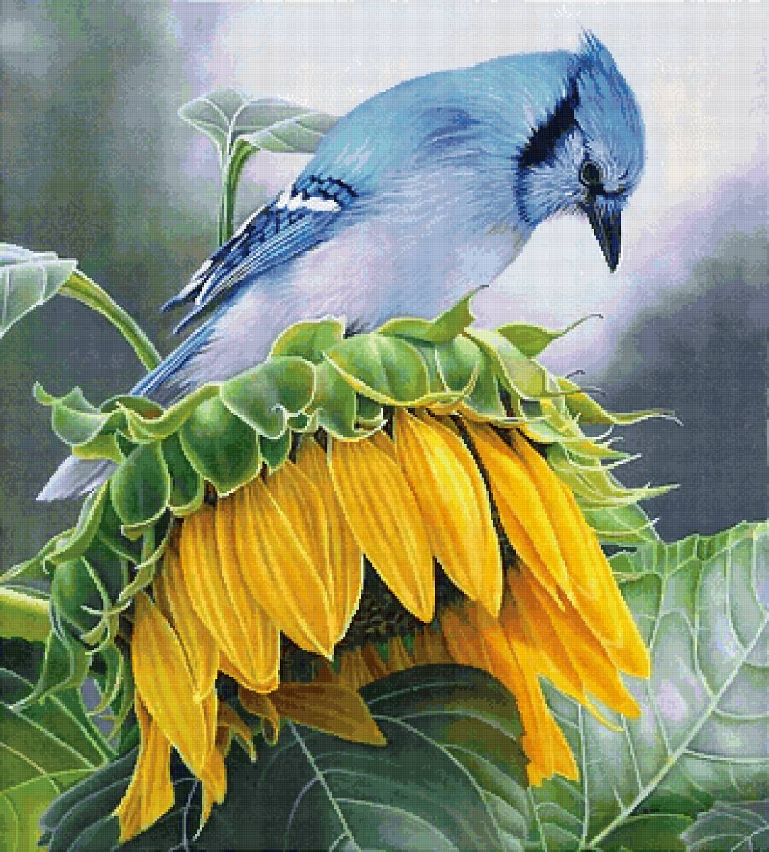 На подсолнухе - предпросмотр