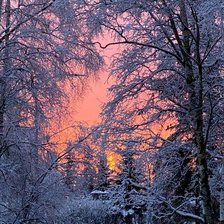 Схема вышивки «№2687361»