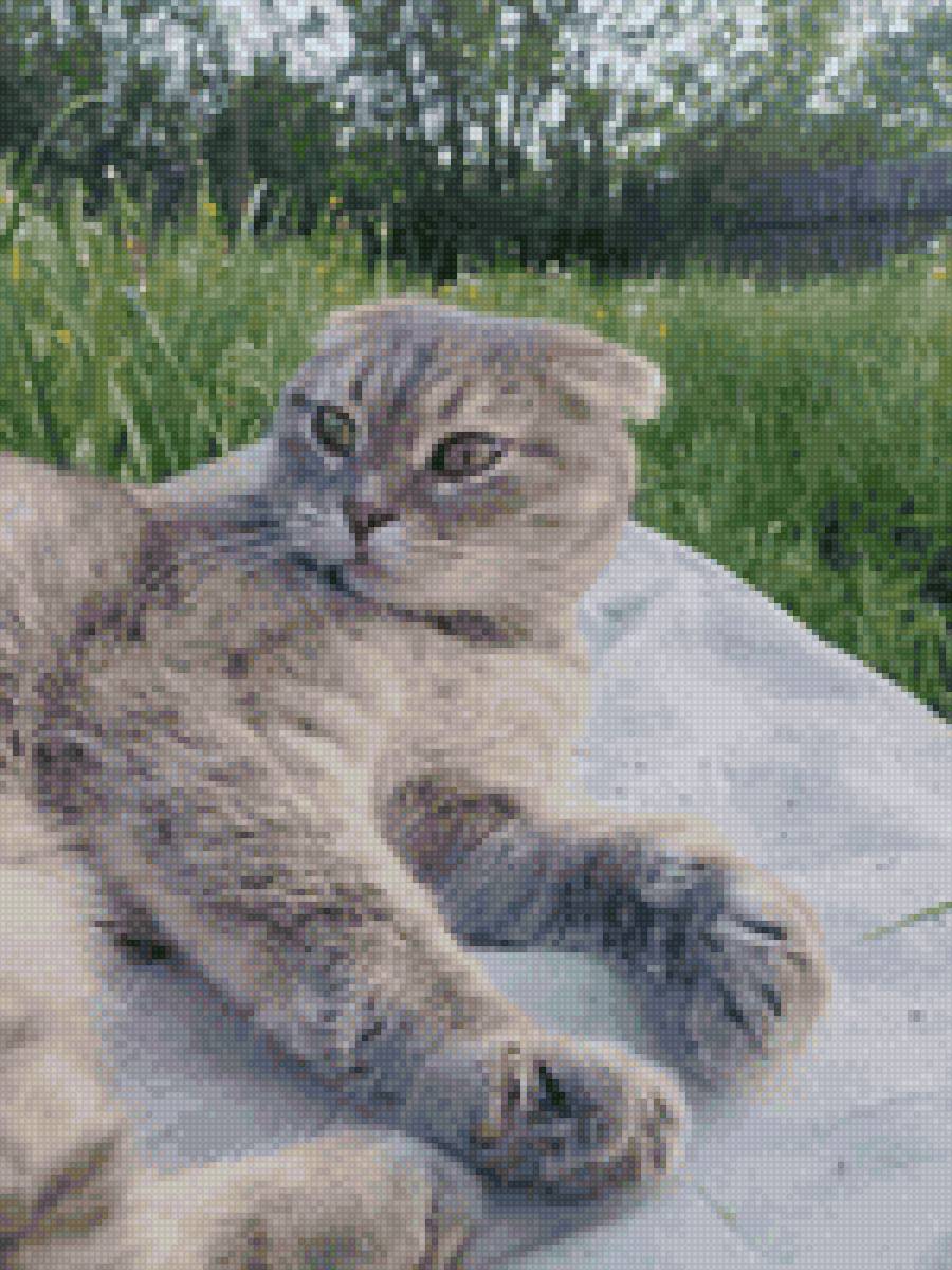 Симона - предпросмотр