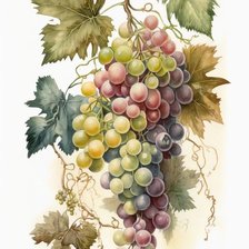 Схема вышивки «Виноград»