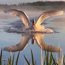 Схема вышивки «№2687608»