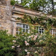 Схема вышивки «старый сад»