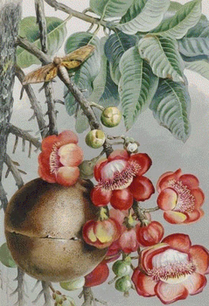 Sala - предпросмотр