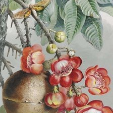 Схема вышивки «Sala2»