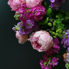 Схема вышивки «Пионы»