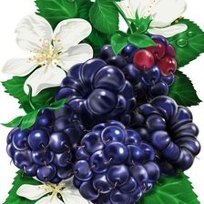 Схема вышивки «№2688263»