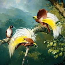 Схема вышивки «Райские птицы»