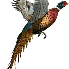 Схема вышивки «№2688445»