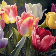 Схема вышивки «№2688446»