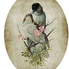 Схема вышивки «animales»