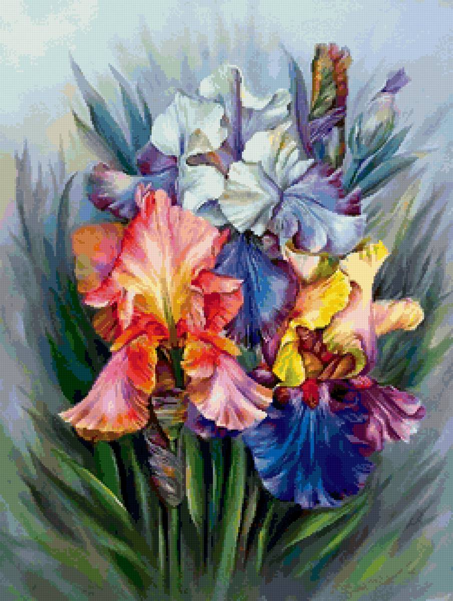 ирисы - предпросмотр