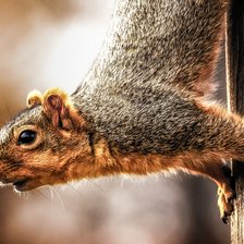 Схема вышивки «№2688788»