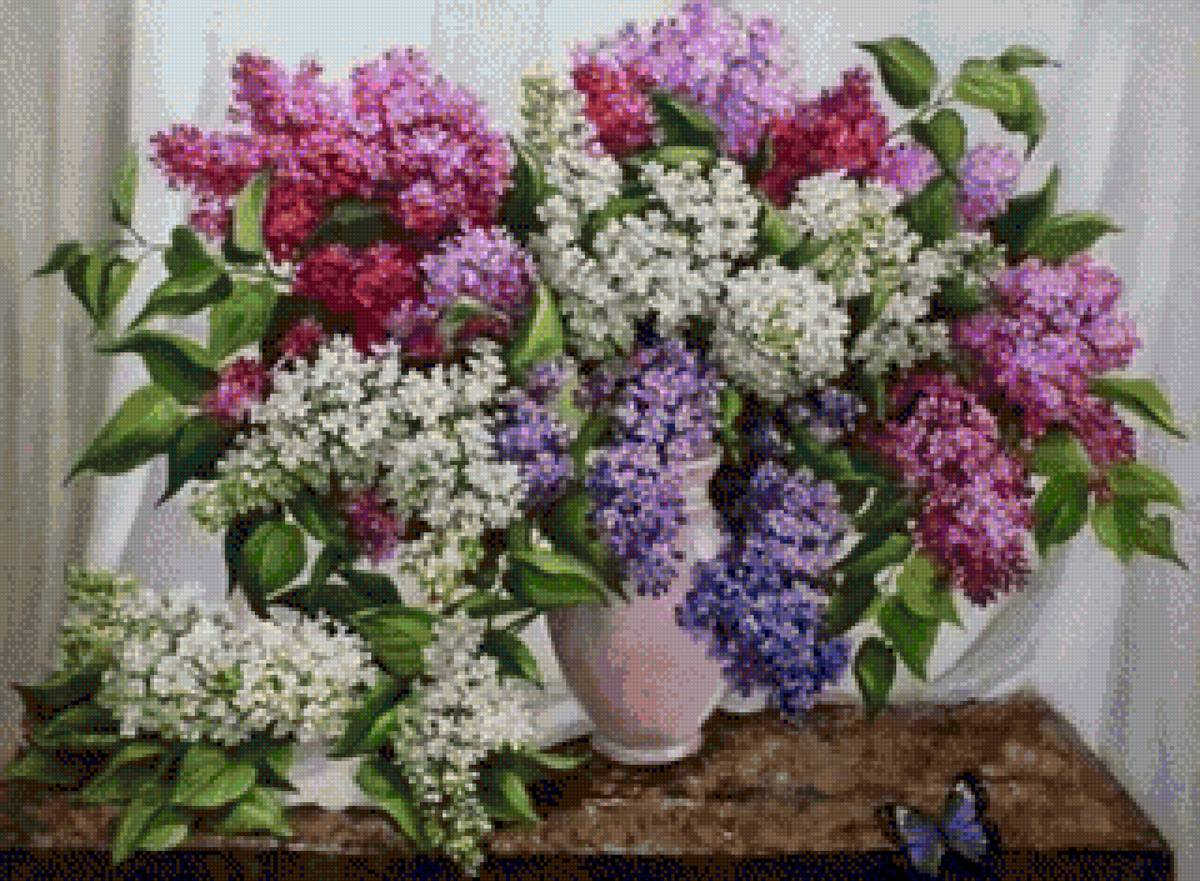 Букет сирени - букет, сирень, цветы - предпросмотр