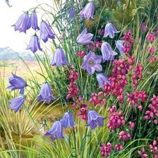 Схема вышивки «колокольчики»