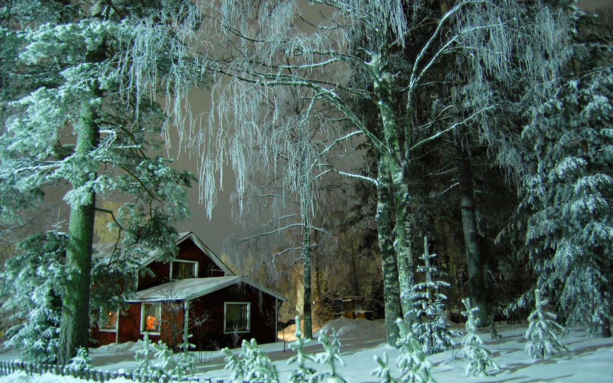 сторожка лесника - природа лес - оригинал