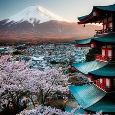 Схема вышивки «япония»