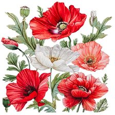 Схема вышивки «Маки»