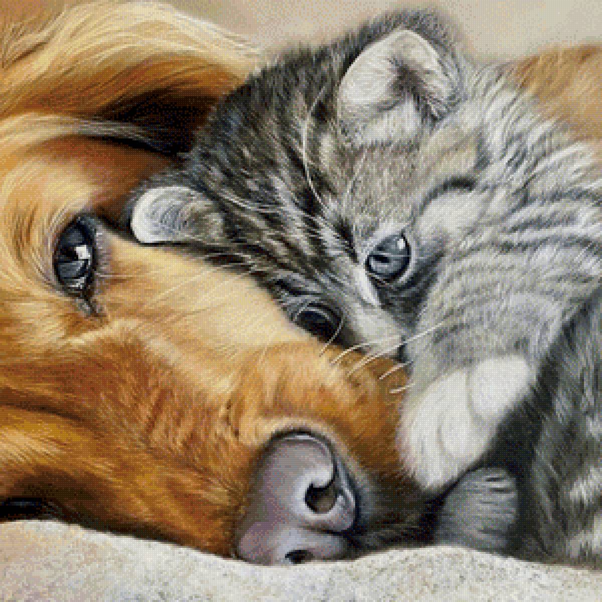 Кот с собакой - домашние животные, кот, собака - предпросмотр