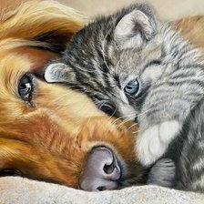 Схема вышивки «Кот с собакой»