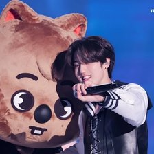 Схема вышивки «Квокка»