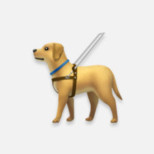 Схема вышивки «Собака Поводырь»