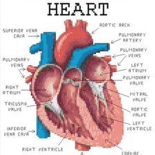 Схема вышивки «Сердце»