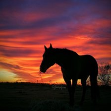 Схема вышивки «закат, лошадь»