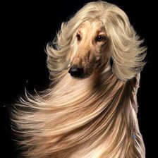 Схема вышивки «№2691415»