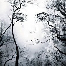 Схема вышивки «№2691652»