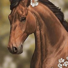 Схема вышивки «Лошадь»