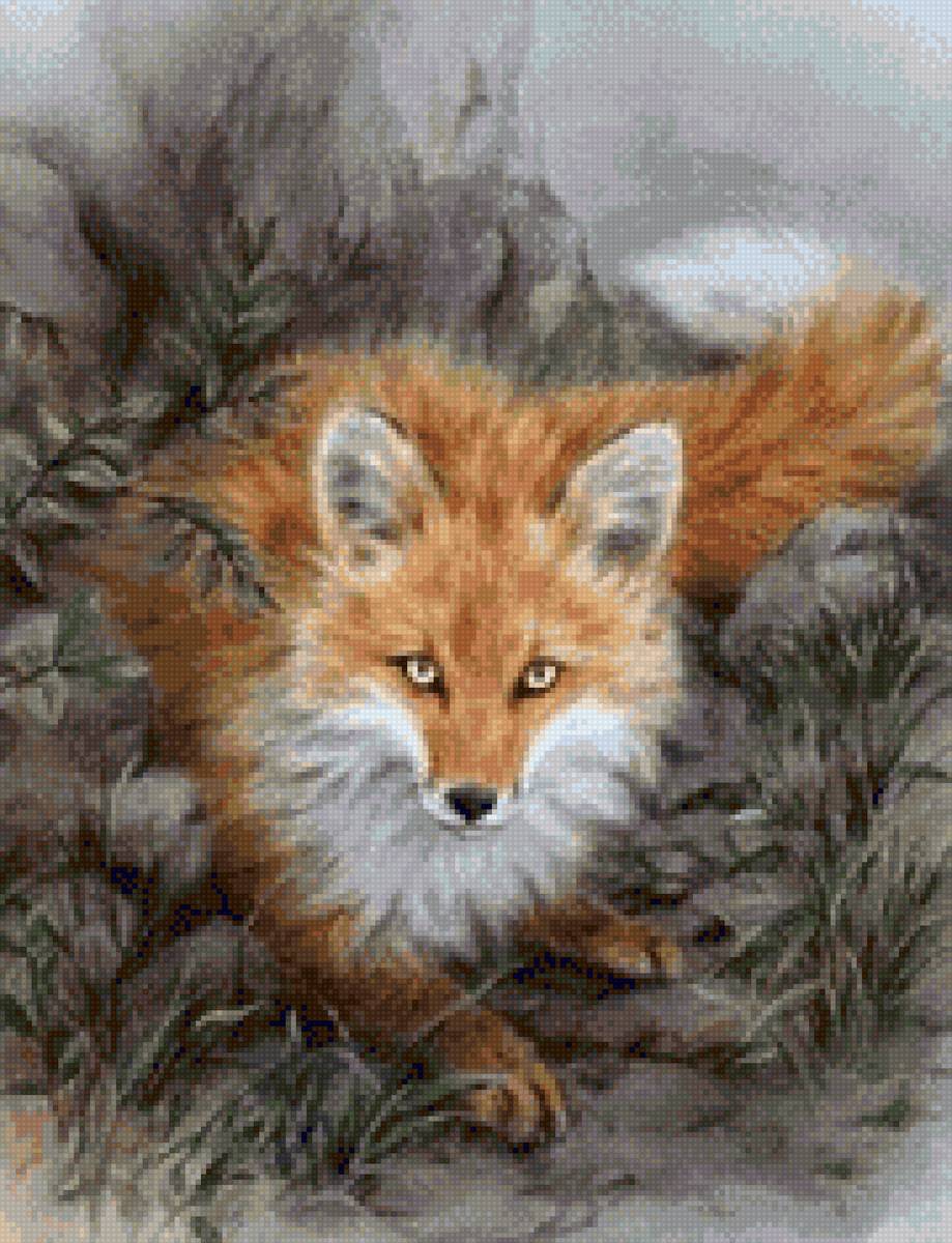 Лис - предпросмотр