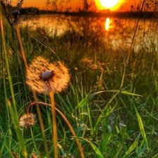 Схема вышивки «№2692272»