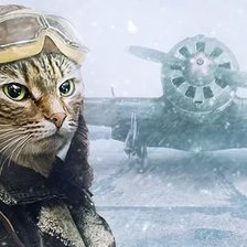 Схема вышивки «кот пило»