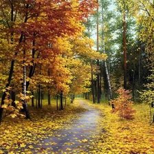 Схема вышивки «Дорога в осень»