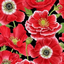 Схема вышивки «Подушка "Маки"»