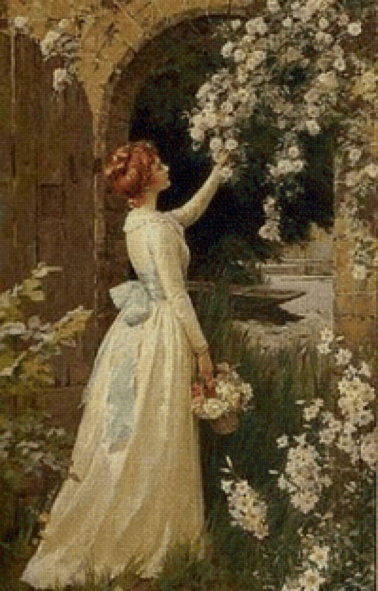 Девушка и розы - девушка, лето, природа, красота, розы - предпросмотр