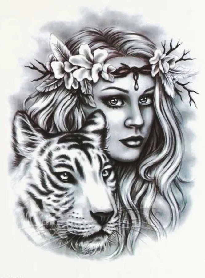 девушка и тигр - оригинал