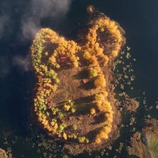 Схема вышивки «Башкирский лес»