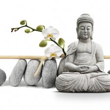 Схема вышивки «Ludi»