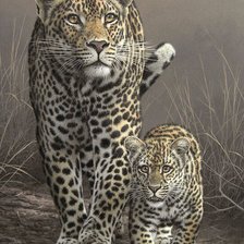 Схема вышивки «Дикие»