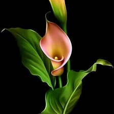 Схема вышивки «цветы»