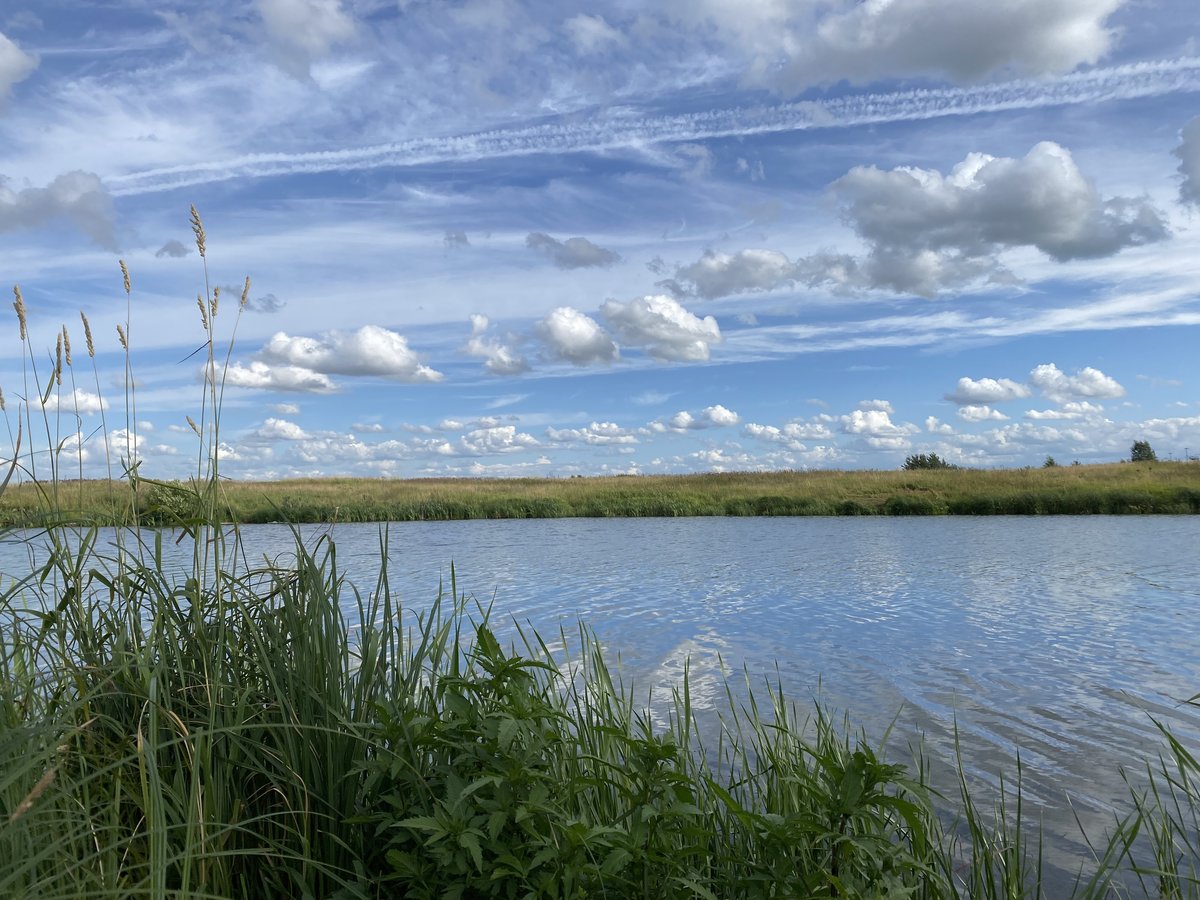 Тихое место - река, облака, поле, вода, небо, заросли - оригинал