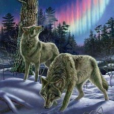 Схема вышивки «Сказки севера»