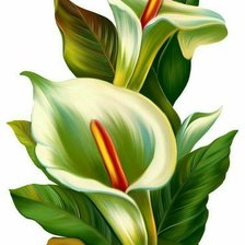 Схема вышивки «цветы»