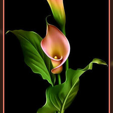 Схема вышивки «цветы»