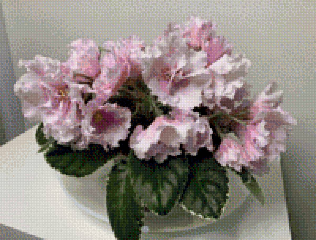 Блеск росы - фиалки, цветы - предпросмотр