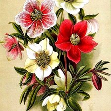 Схема вышивки «букет»