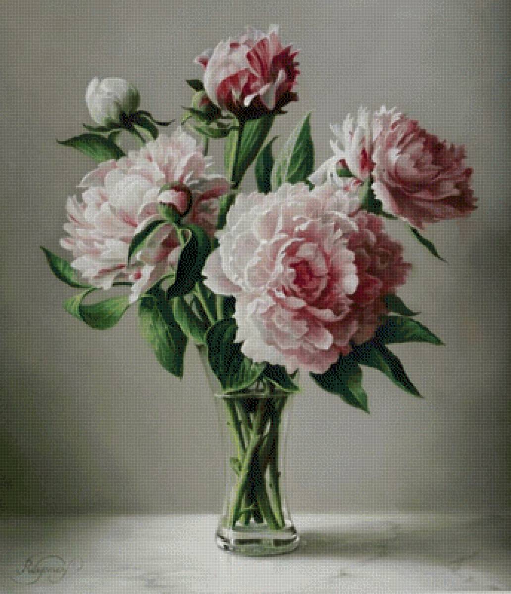 Пионы - пионы - предпросмотр