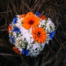 Схема вышивки «Летний букет»