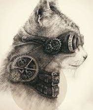 Схема вышивки «стимкот»